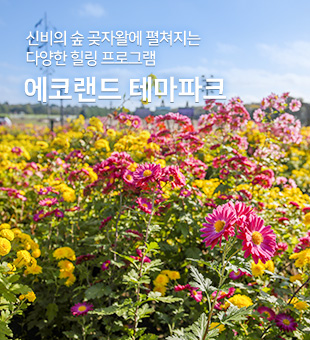 에코랜드테마파크